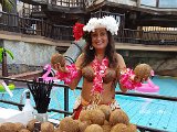 Yussara Kokosnuss Cocktailbar, Live Show Coconut Drinks, Malibu Rum, Kokosnuss, Coconut Bar..jpg